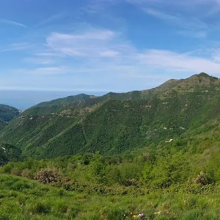 Casa Lina Citra 010031-lt-0009