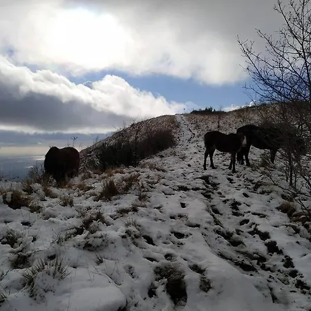 Casa Lina Citra 010031-lt-0009 * Pannesi