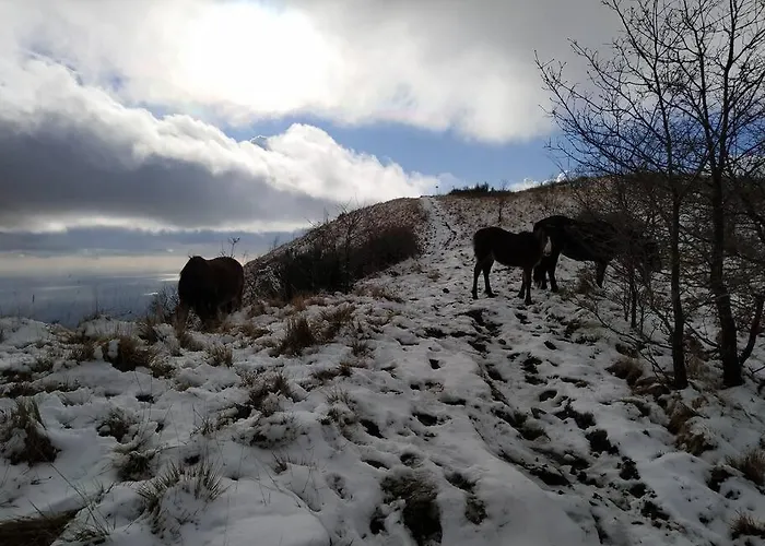 Casa Lina Citra 010031-lt-0009 * Pannesi