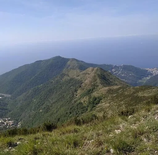 Casa Lina Citra 010031-lt-0009 * Pannesi